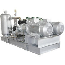 Ammonia Screw Compressor Parallel Unit